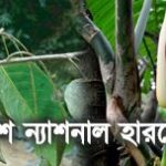 Bangladesh National Herbarium